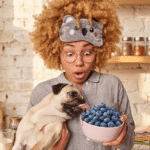 Happy dog eating fresh blueberries safely from owner's hand